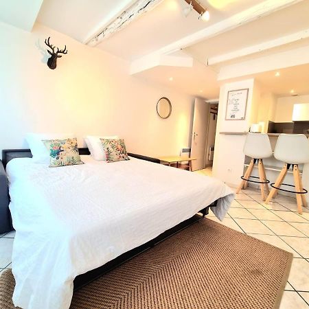 Appartement Les Cosy De Nancy - La cache du cerf - 4étoiles Extérieur photo